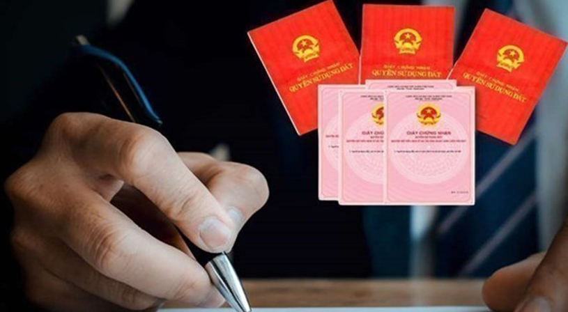 Thẩm định thực tế